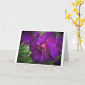 Gladioli, carte (Fleur jaune)