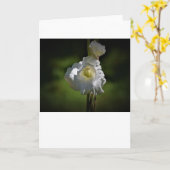 Gladioli, carte (Fleur jaune)