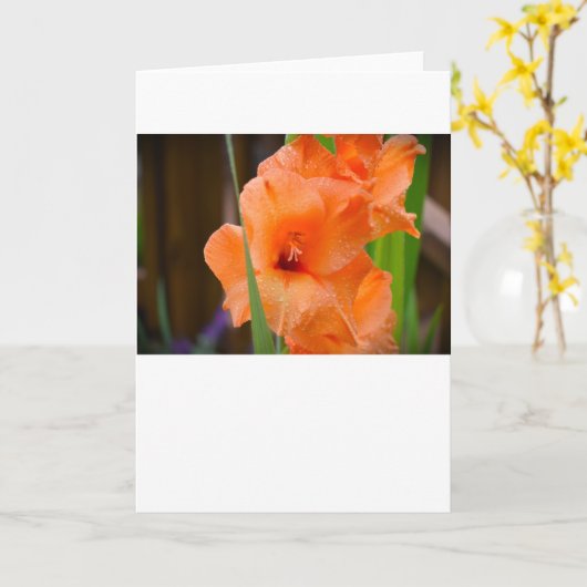 Gladioli, carte (Fleur jaune)