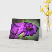 Gladioli, carte (Fleur jaune)