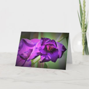 Gladioli, carte