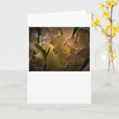 Gladioli, carte (Fleur jaune)