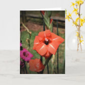 Gladioli, carte (Fleur jaune)