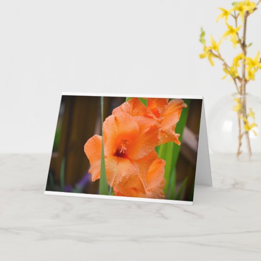 Gladioli, carte (Fleur jaune)