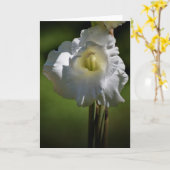 Gladioli, carte (Fleur jaune)
