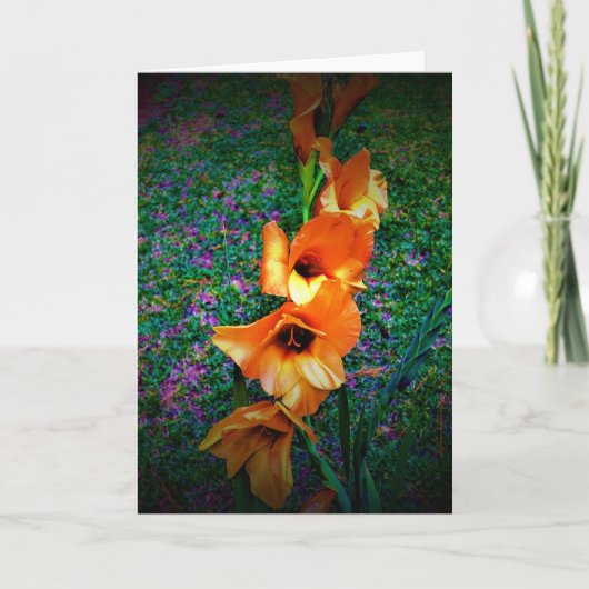 Gladioli, carte (Devant)