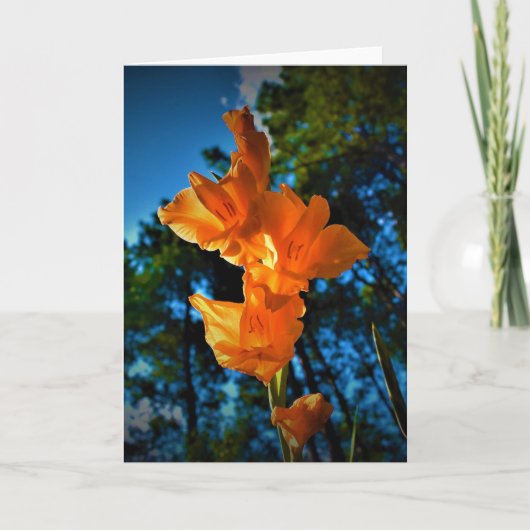 Gladioli, carte (Devant)