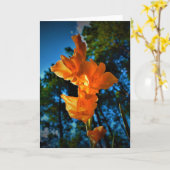 Gladioli, carte (Fleur jaune)