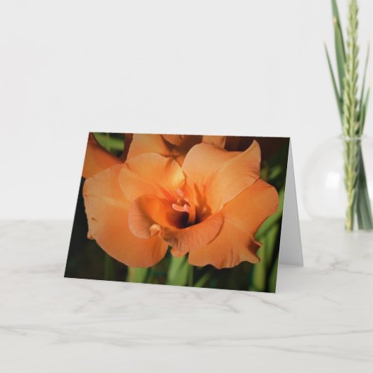 Gladioli, carte (Devant)