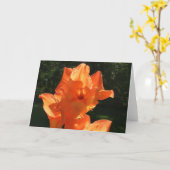 Gladioli, carte (Fleur jaune)