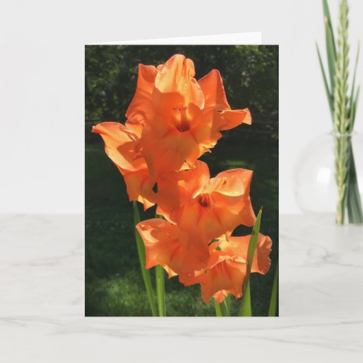 Gladioli, carte (Devant)