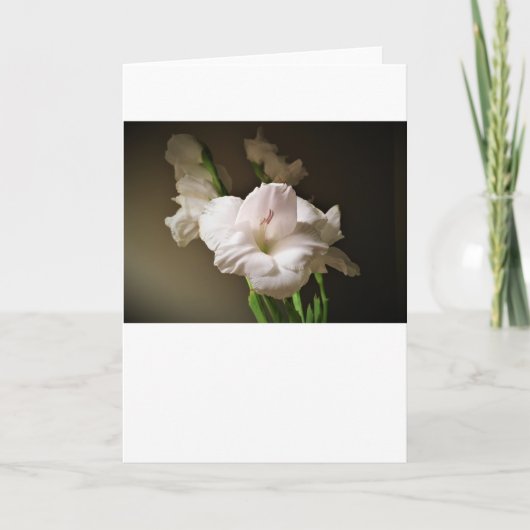 Gladioli, carte (Devant)