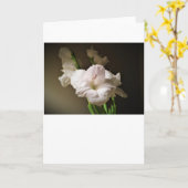 Gladioli, carte (Fleur jaune)