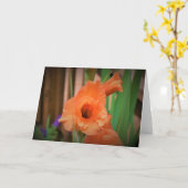Gladioli, carte (Fleur jaune)
