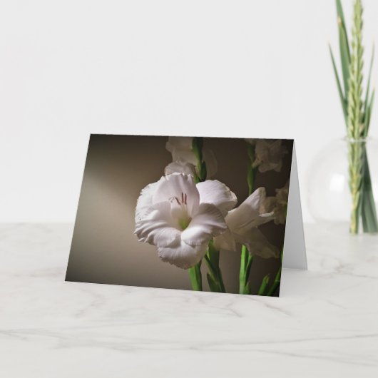 Gladioli, kaart (Voorkant)