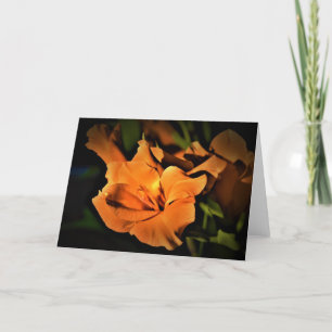Gladioli, kaart