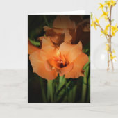 Gladioli, kaart (Gele Bloem)