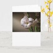 Gladioli, kaart (Gele Bloem)