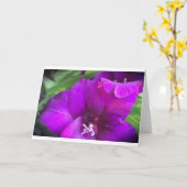 Gladioli, kaart (Gele Bloem)