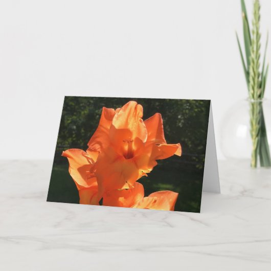 Gladioli, kaart (Voorkant)