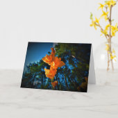 Gladioli, kaart (Gele Bloem)