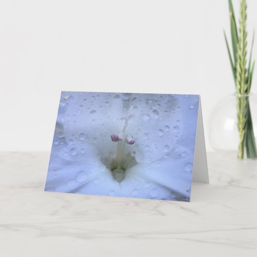 Gladioli, kaart (Voorkant)