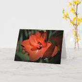 Gladioli, kaart (Gele Bloem)