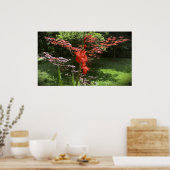 Gladioli Poster (Keuken)