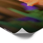 Gladioli Poster (Hoek)