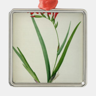 Gladiolus Cardinalis, uit "Les Liliacees", 1805 Metalen Ornament