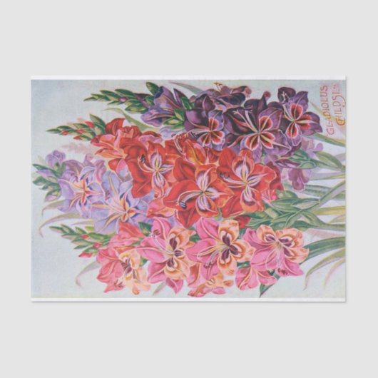 Gladiolus Colour  Floral Weefpapier Tissuepapier (Voorkant)