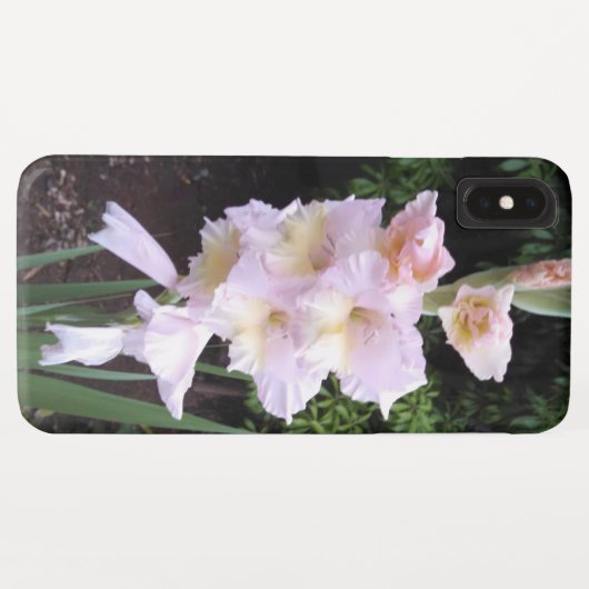Gladiolus coque iphone (Dos (Horizontal))