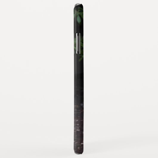 Gladiolus coque iphone (Dos/Droite)