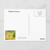Gladiolus Flowers Briefkaart (Achterkant)