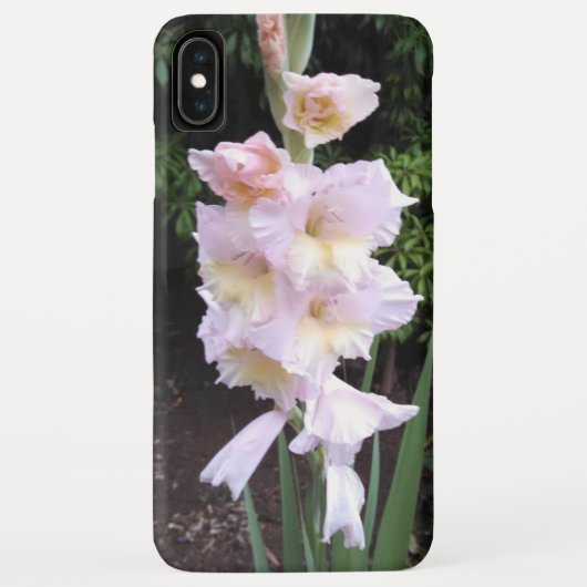 Gladiolus Flowers iPhone Case (Achterkant)