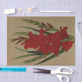 Gladiolus Gandavensis. Var. BFrench Leyensis Tissuepapier (Craft)