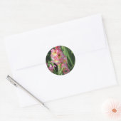 Gladiolus Ronde Sticker (Envelop)
