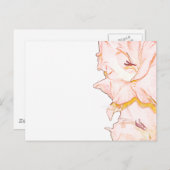 Gladiolus sketch briefkaart (Voorkant / Achterkant)