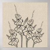 Glads Gladiola Dessin Toile Poster (Devant)