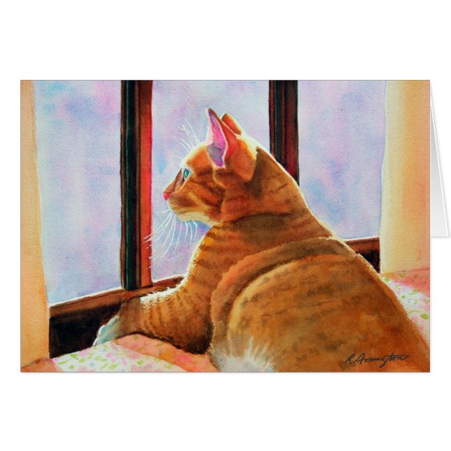 Gladys Oranje Tabby (Voorkant Horizontaal)