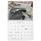 Gladys the Adventure Mouse Calendrier 2025 (Mar 2027)
