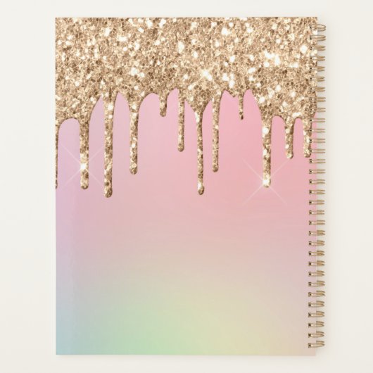 Glam Gold Glitter Drift Elegant Monogram Planner (Achterkant)