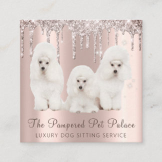 Glam Gold Roos Glitter Drift Poodle Pet Sitting Vierkante Visitekaartje