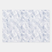 Glam Lavender Lila Zebra Print Inpakpapier Vel (Voorkant 2)