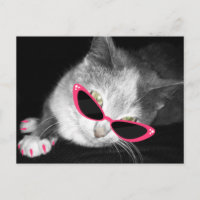 Glamor Chat Anniversaire Carte postale Invitation