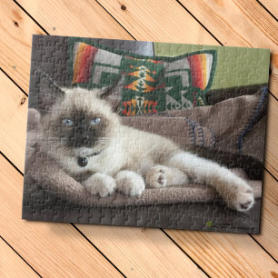 Glamour Blue Eyed Siamese Kitten Foto Legpuzzel