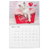 Glamoureuze Ragdoll Kittens Kalender (Feb 2026)