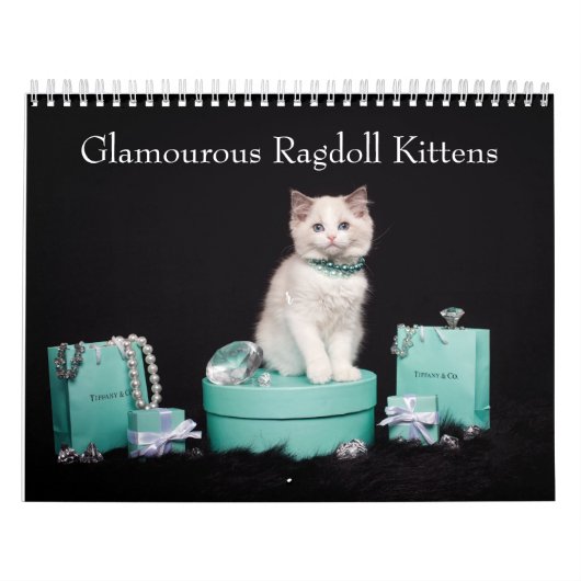 Glamoureuze Ragdoll Kittens Kalender (Hoes)