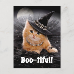 Glamoureuze Witch Kitten Uitnodiging Briefkaart
