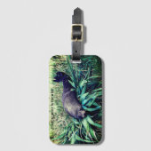 Glamping zee lion bagagelabel (Voorkant (verticaal))